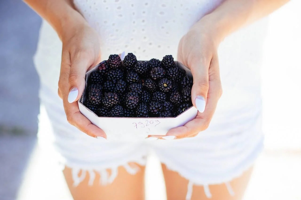 5 desserts with blackberries