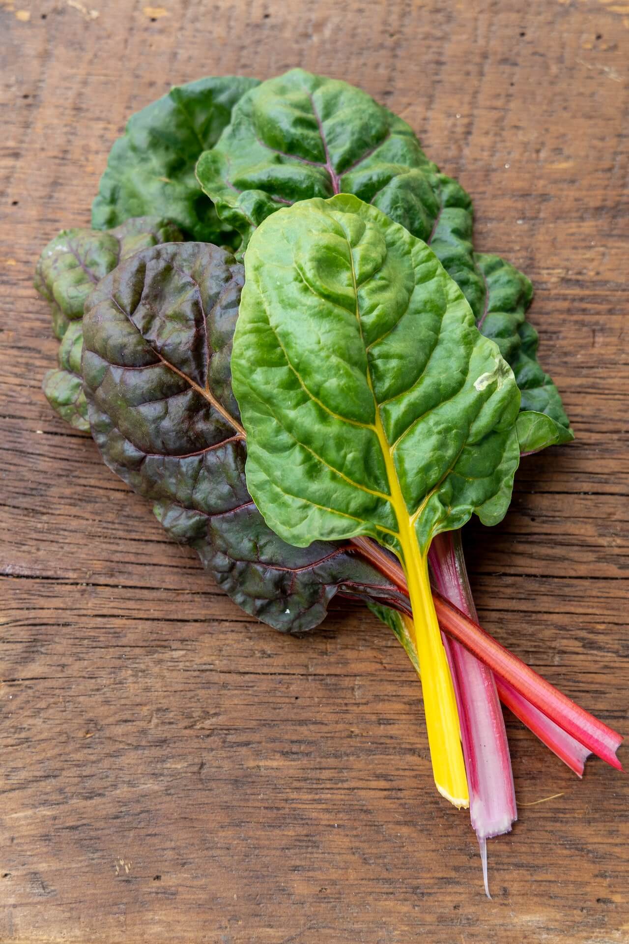 5 recipes with chard